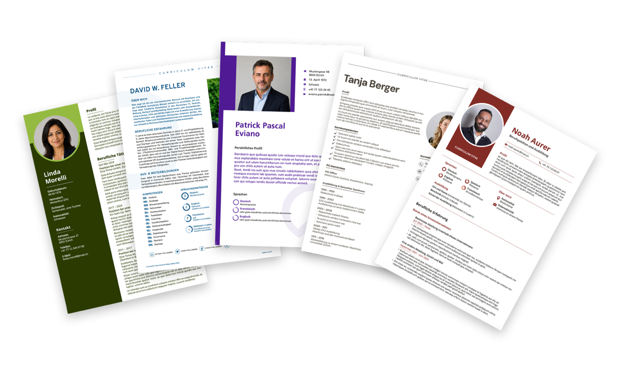 Board-CV BoardCV Curriculum Vitae für den Verwaltungsrat / die Verwaltungsrätin